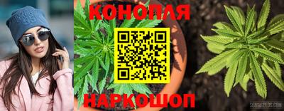Альфа ПВП Гусев