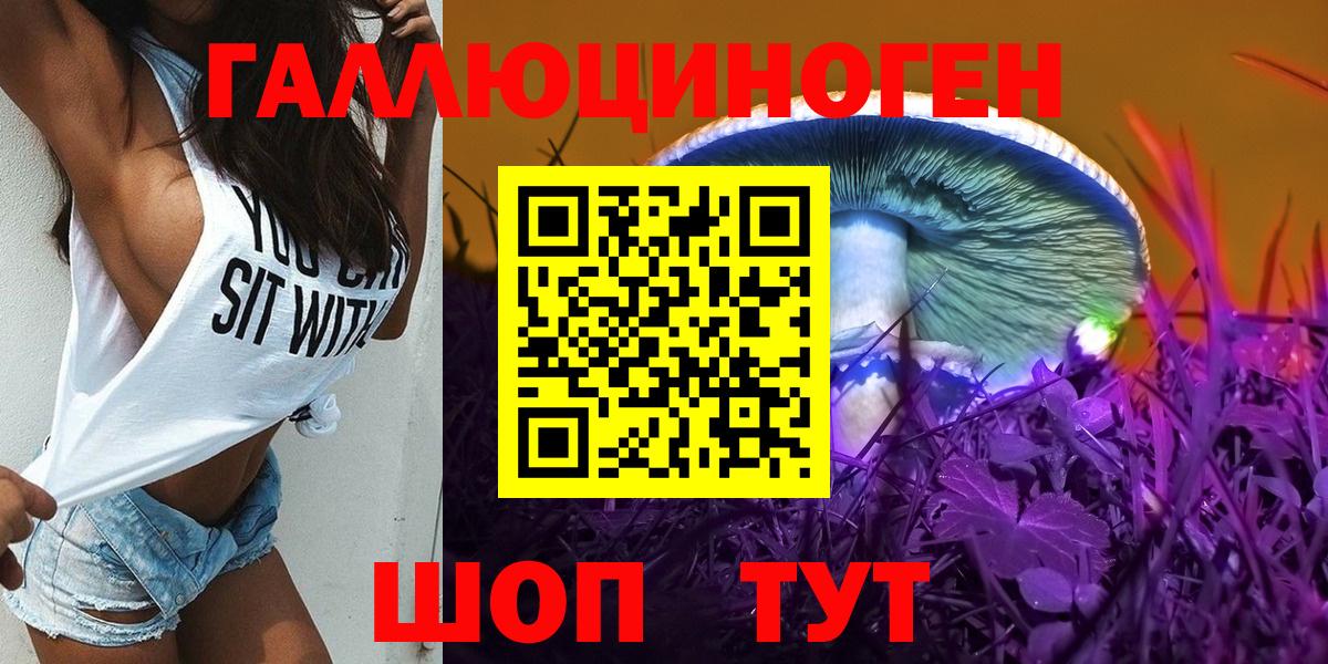 Псилоцибиновые грибы мицелий  Вход с VPN  Нижнеудинск  Псилоцибиновые грибы GOLDEN TEACHER 